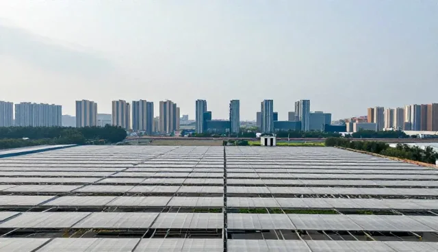 企业名录查询服务中的分类管理误区澄清