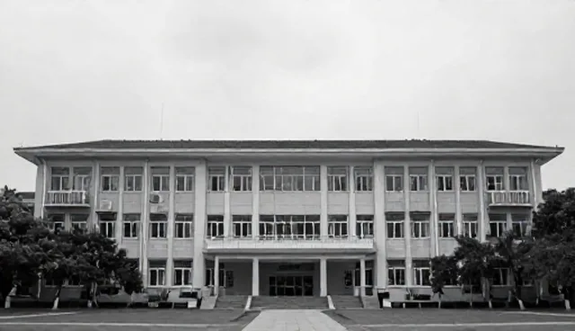 企业信息查询服务:区域支持的性能与适用条件比较